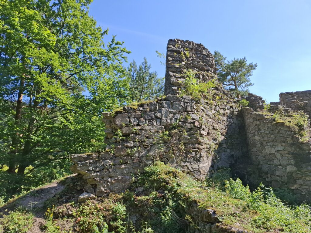 20250815_151955 Pozůstatky hradu Rychleby v Rychlebských horách - Historie ke kávě