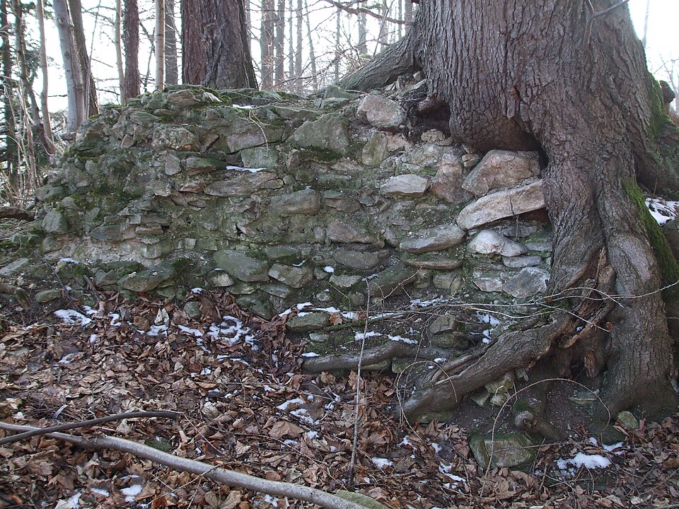 Pozůstatky_tvrze_v_Adolfovicích tvrz Adolfovice