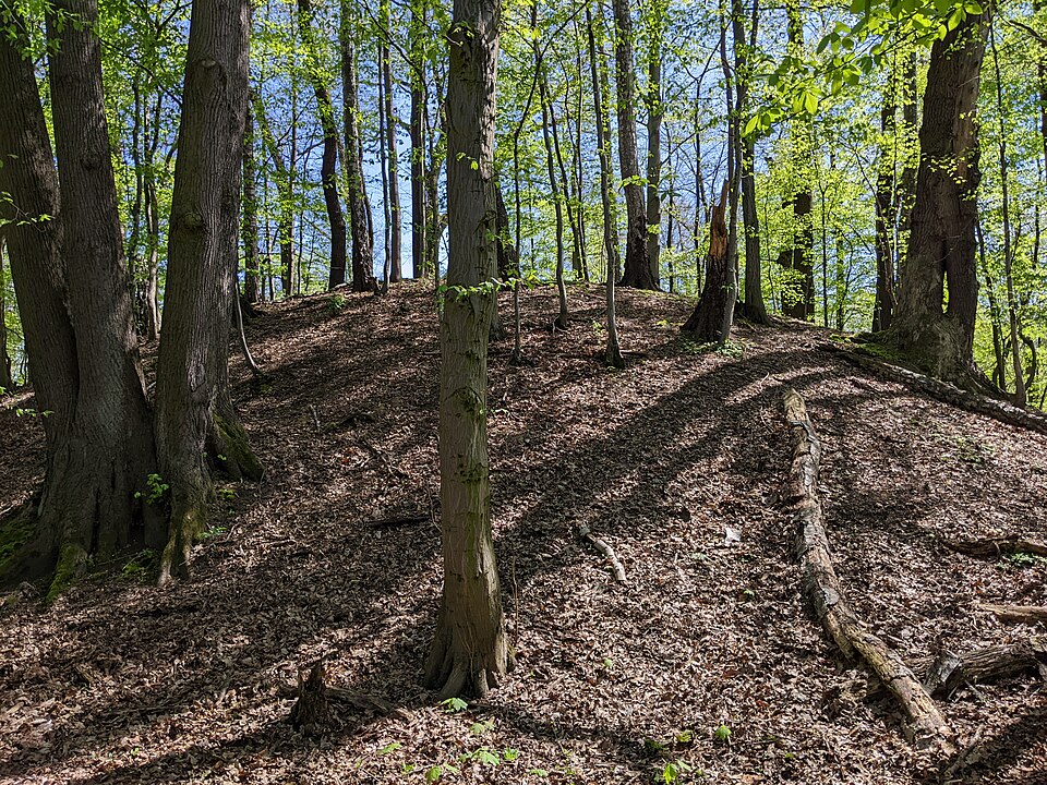 Albrechtice u Karviné - švedský kopec