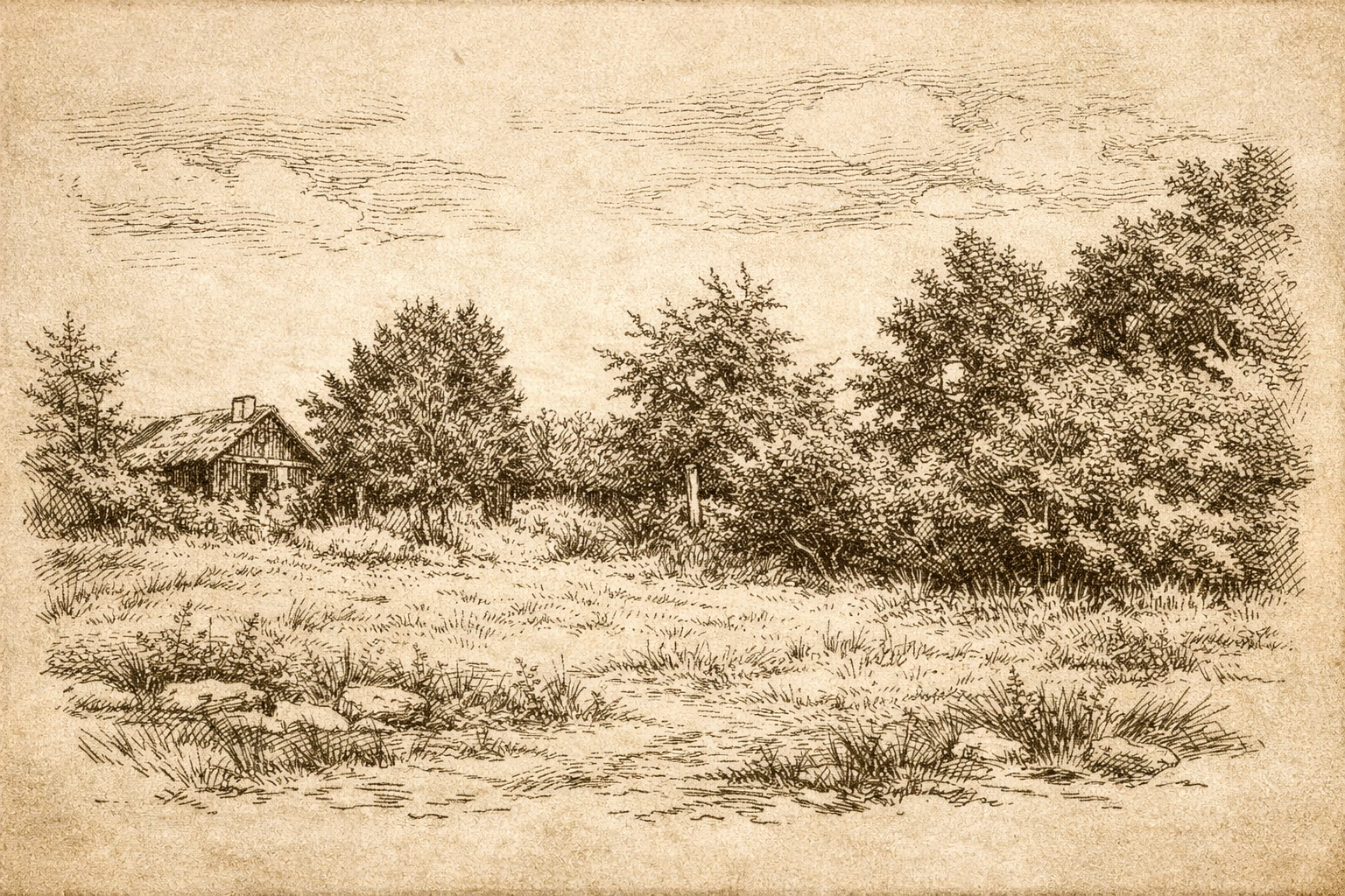 místo zaniklé tvrze Albrechtice