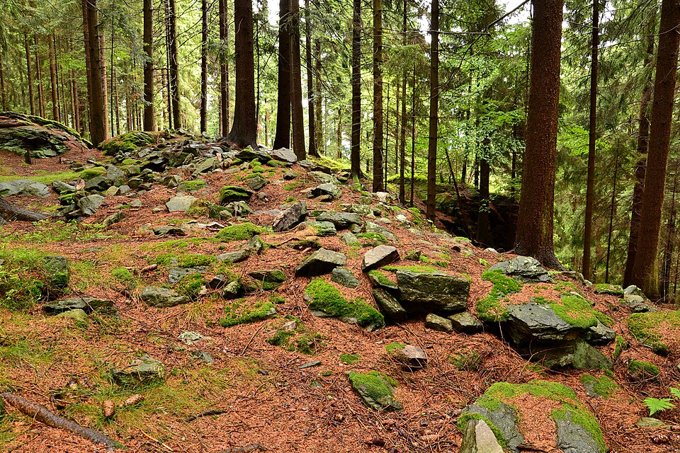 Pravěké hradiště Sedlo 