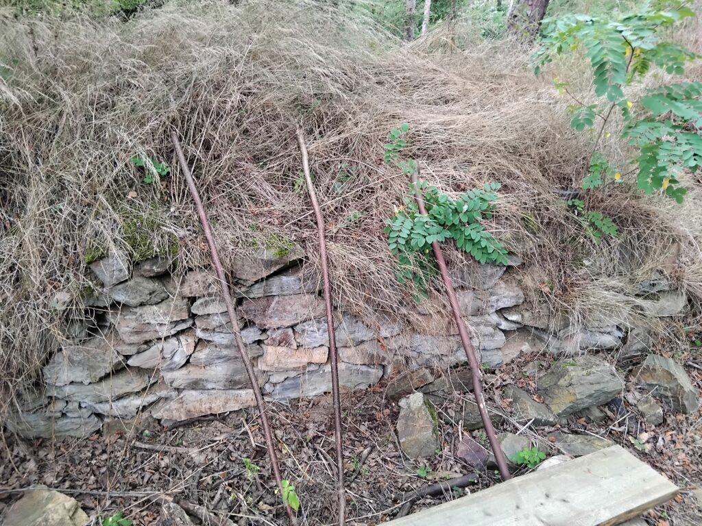 IMG_20250809_141927 Angerbach - hrad