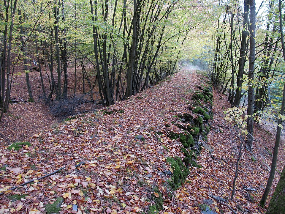 Lanská Koněspřežka