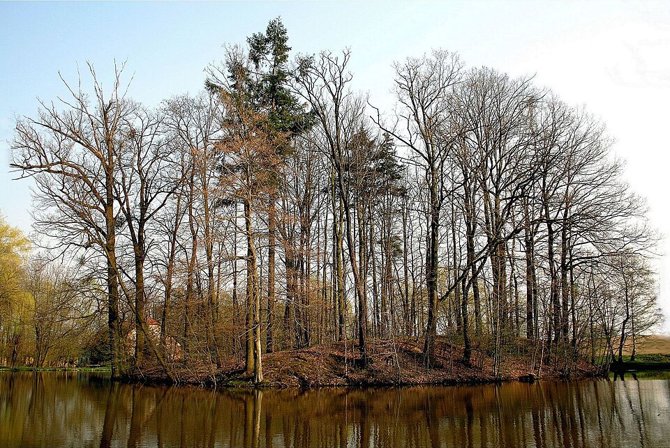 Velké_Albrechtice1-141188 Velké Albrechtice - tvrz